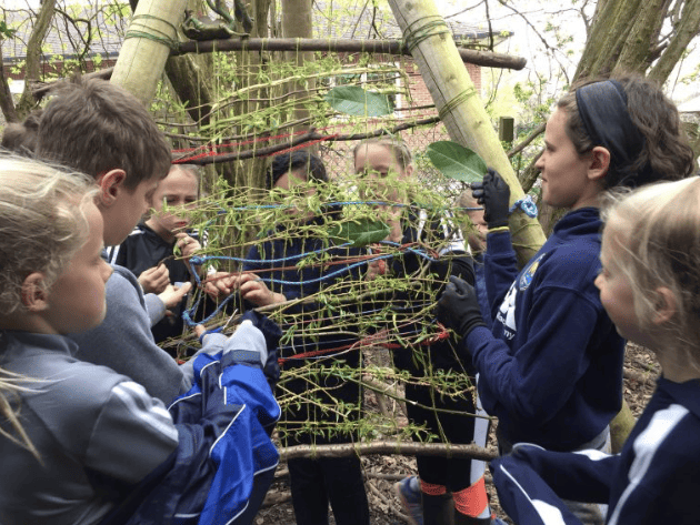 Picture of Gorsey Bank pupils decorating a tree in Forest School