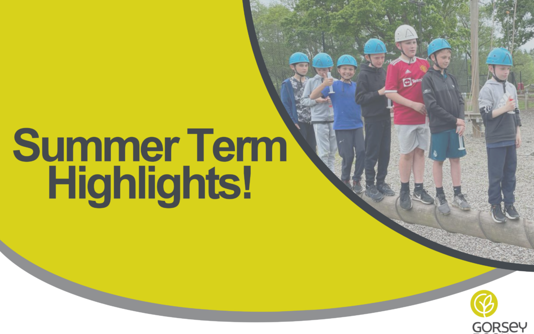 Summer Term Highlights